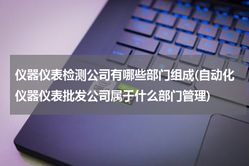 仪器仪表检测公司有哪些部门组成(自动化仪器仪表批发公司属于什么部门管理)