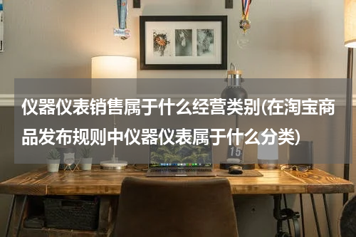 仪器仪表销售属于什么经营类别(在淘宝商品发布规则中仪器仪表属于什么分类)