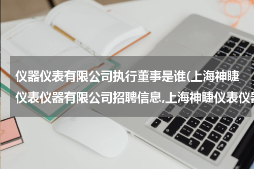仪器仪表有限公司执行董事是谁(上海神睫仪表仪器有限公司招聘信息,上海神睫仪表仪器有限公司怎么样？)