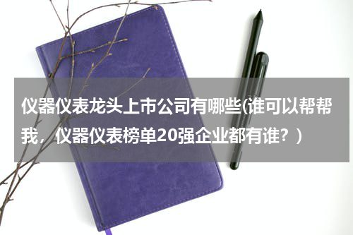 仪器仪表龙头上市公司有哪些(谁可以帮帮我，仪器仪表榜单20强企业都有谁？)