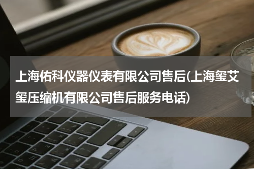 上海佑科仪器仪表有限公司售后(上海玺艾玺压缩机有限公司售后服务电话)