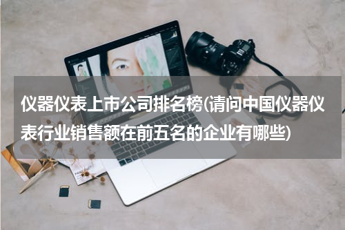 仪器仪表上市公司排名榜(请问中国仪器仪表行业销售额在前五名的企业有哪些)