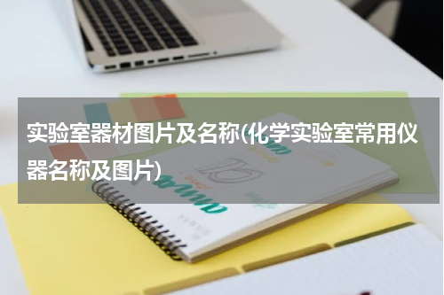 实验室器材图片及名称(化学实验室常用仪器名称及图片)