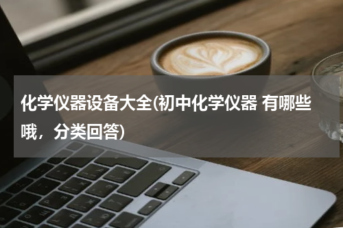 化学仪器设备大全(初中化学仪器 有哪些哦，分类回答)
