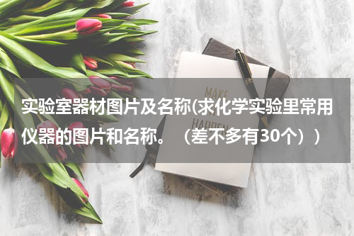 实验室器材图片及名称(求化学实验里常用仪器的图片和名称。（差不多有30个）)