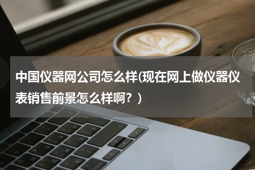 中国仪器网公司怎么样(现在网上做仪器仪表销售前景怎么样啊？)