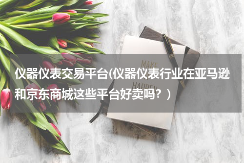 仪器仪表交易平台(仪器仪表行业在亚马逊和京东商城这些平台好卖吗？)