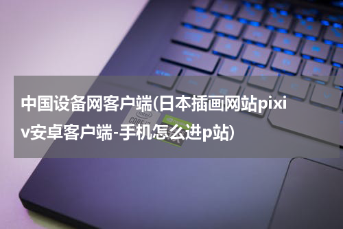 中国设备网客户端(日本插画网站pixiv安卓客户端-手机怎么进p站)
