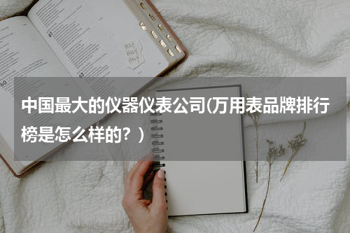 中国最大的仪器仪表公司(万用表品牌排行榜是怎么样的？)