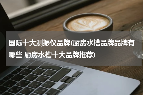国际十大测振仪品牌(厨房水槽品牌品牌有哪些 厨房水槽十大品牌推荐)