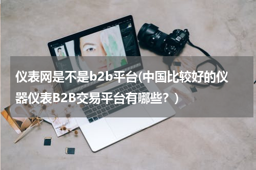 仪表网是不是b2b平台(中国比较好的仪器仪表B2B交易平台有哪些？)
