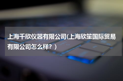 上海千欣仪器有限公司(上海欣笙国际贸易有限公司怎么样？)