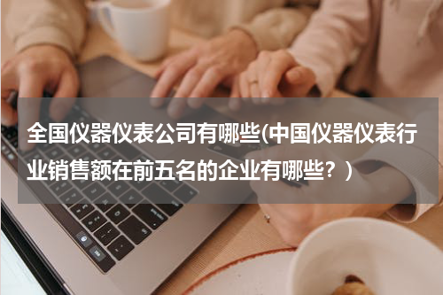 全国仪器仪表公司有哪些(中国仪器仪表行业销售额在前五名的企业有哪些？)