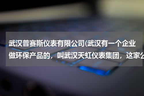 武汉普赛斯仪表有限公司(武汉有一个企业做环保产品的，叫武汉天虹仪表集团，这家公司怎么样？)
