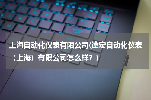 上海自动化仪表有限公司(途宏自动化仪表（上海）有限公司怎么样？)