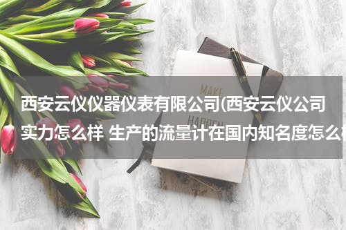 西安云仪仪器仪表有限公司(西安云仪公司实力怎么样 生产的流量计在国内知名度怎么样)