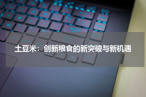 土豆米：创新粮食的新突破与新机遇