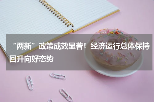 “两新”政策成效显著！经济运行总体保持回升向好态势