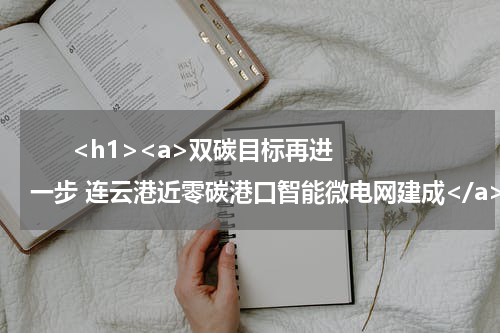       <h1><a>双碳目标再进一步 连云港近零碳港口智能微电网建成</a></h1>            