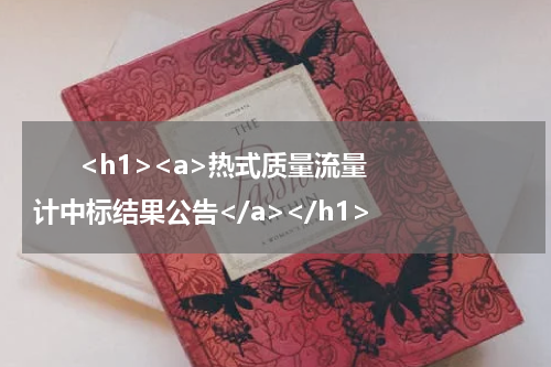       <h1><a>热式质量流量计中标结果公告</a></h1>            